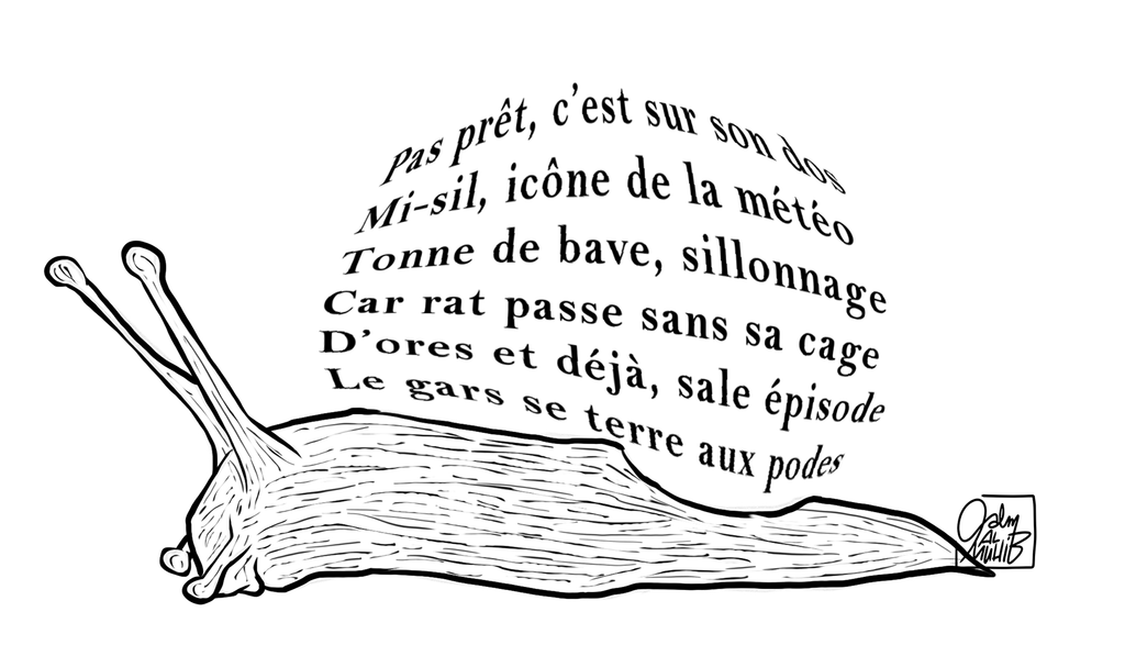 Art&rature laisse car go